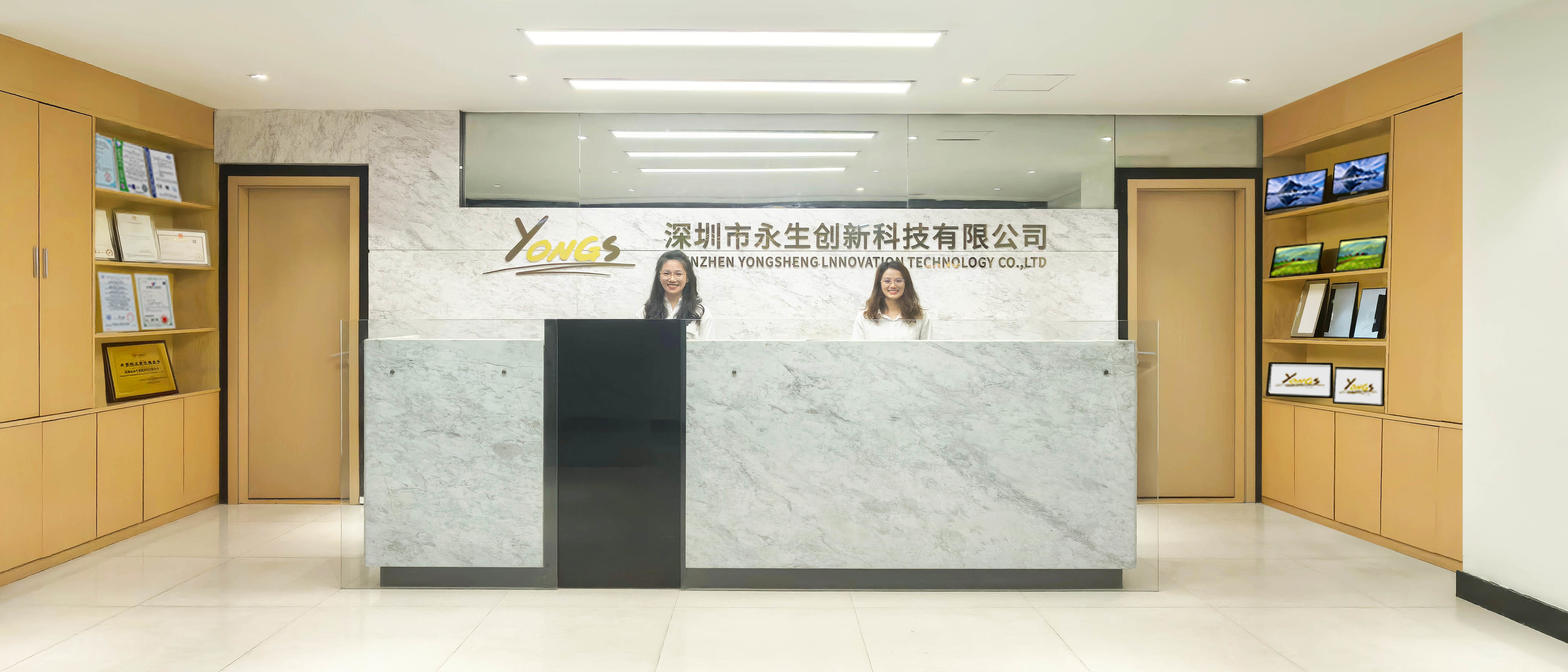 Cina Shenzhen Yongsheng Innovation Technology Co., Ltd Profil Perusahaan