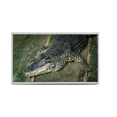 AUO 19,5 inci Panel M195RTN01.0 Antarmuka LVDS 1600X900 TFT LCD Tampilan Layar untuk Laptop Industri