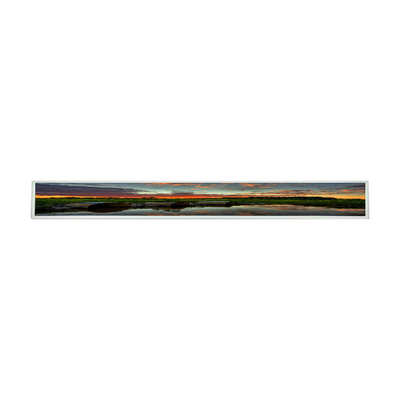 LG Display 28.6 Inch Lcd Panel LD290EJS-FPN1 Penggantian Modul Layar LCD