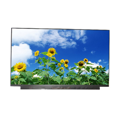 AUO Garis Vertikal Panel LCD 15,6 Inci B156HAN13.0 LAYAR LCD 10 pin