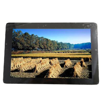 10.1 INCI 1280*800 149PPI B101EAN01.7 34 pin LAYAR LCD