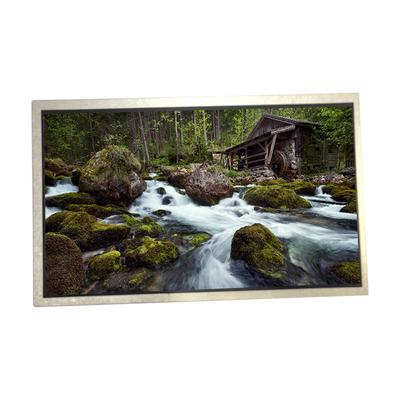 10.1 inci HSD100IFW1-C00 60PIN LCD LED Screen Display Panel