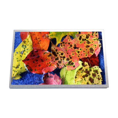 10.1 inci HSD100IFW1-A02 netbook LCD LED Screen Display Panel