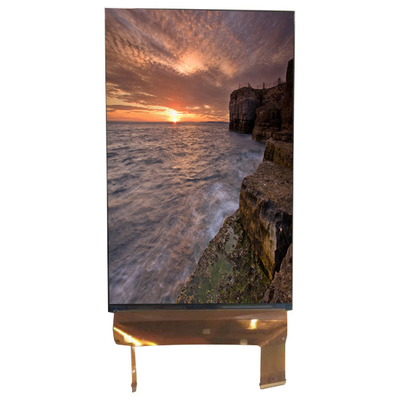 LQ070M1SX01 7.0 inci Layar 1200*1920 LCD Layar Monitor 71 Pin