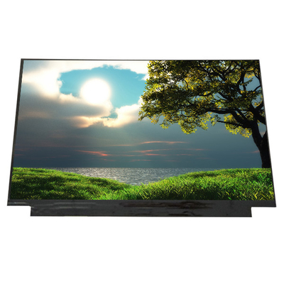 LQ125M1JW31 12,5 inci 1920*1080 30 pin Laptop layar LCD