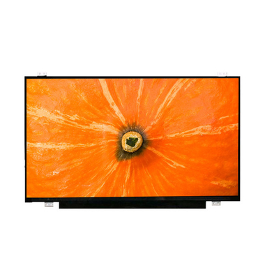 LQ173D1JW31 Asli dalam stok 17,3 inci LCD Display Screen