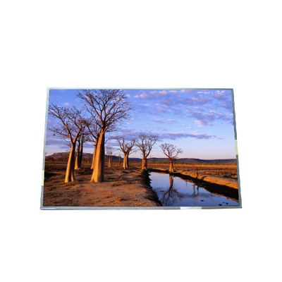 RGB 1440*900 B170PW03 V9 99PPI Panel LCD TFT