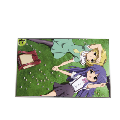 B141EW02 V4 14,1 inci 1280*800 LCD TFT-LCD