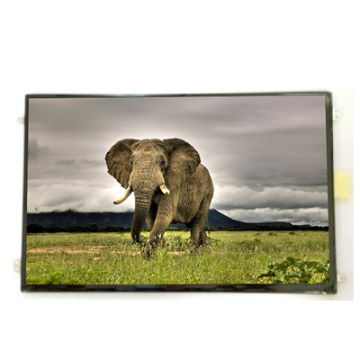 B101UAN01.9 10,1 inci 16,7M 52% NTSC Layar LCD