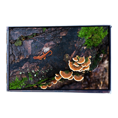 VVX07H005A00 7.0 inci 450 cd/m2 LCD Screen Display Panel