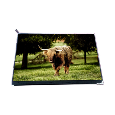 VVX10F002A90 10,1 inci 1000: 1 LCD Screen Display Panel