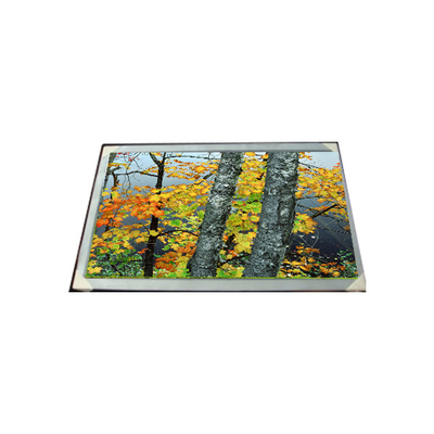 LC200WX1-SL01 20,0 inci 1366*768 LCD Panel Display