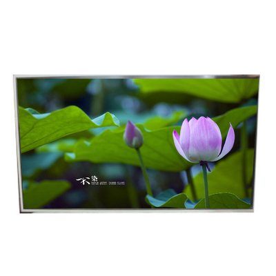 49.0 inci LD490EPN-UKH1 LCD display panel 1920*1080