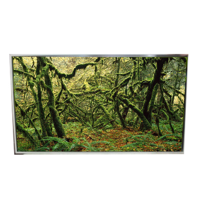 LD490EPY-SHP1 51 Pin 1920*1080 60Hz Lcd Screen untuk Digital Signage