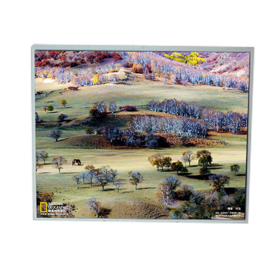 LM200WD1-TLA9 20,0 inci 1600*900 TFT LCD