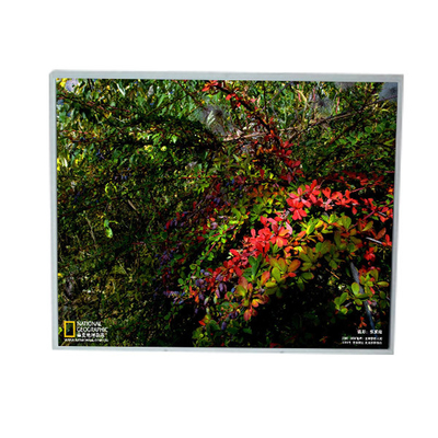 LM201U1-A3 20,1 inci 1600*1200 LCD Panel Panel