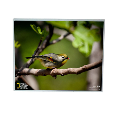 LM201U1-A3M1 20,1 inci 1600*1200 LCD Layar