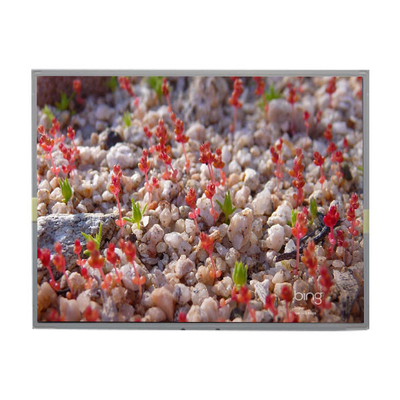 LM2011-SLWE01 Original 20,1 inci 1680*1050 LCD Display Screen