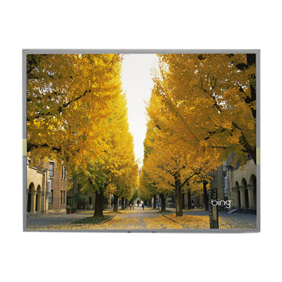 LM2013-WETLB1 20,1 inci Lcd Screen 1680*1050 Lcd Display