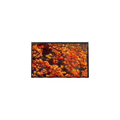 LP133WX1-TLB2 LCD display panel 13,3 inci 1280*800 LCD Screen Module