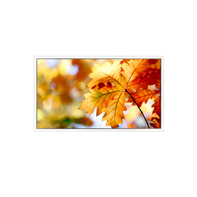 EV238FHM-N12 23.8 inci 1920*1080 LCD Screen Monitor