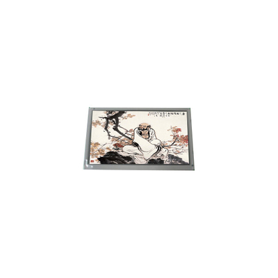 LQ133M1JW48 13.3 inci eDP 30 pin WLED TFT LCD Screen