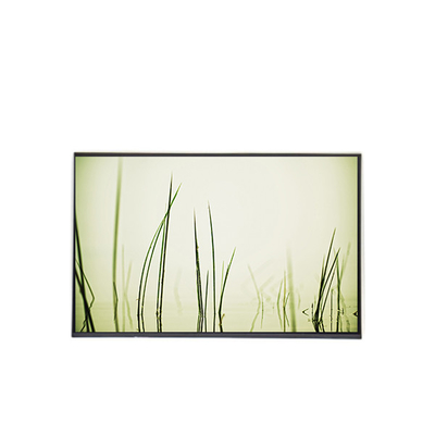 B160ZAN01.R LCD Laptop panel layar 16,0 inci pengganti