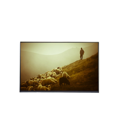 B170WP04 V0 17,0 inci LCD Display Panel 1440*900 Layar LCD
