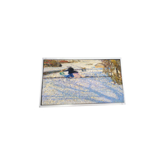 P215HVN01.2 Layar LCD TFT 21,5 Inci Panel LCD 1920*1080