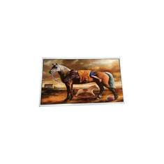 P215HVN02.0 21.5 inci 1920*1080 FHD LCD Display Panel