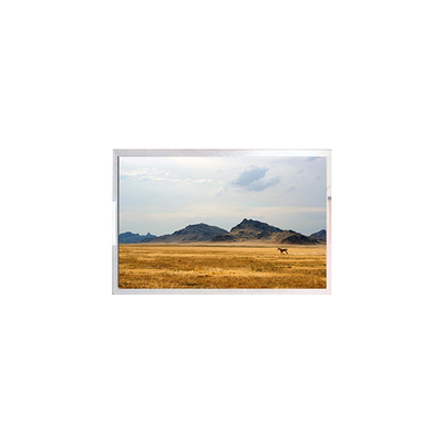 TFT7D0906-A LCD Screen Display 6.3 inci Panel Modul LCD