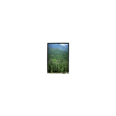 LS055B3SX04Z 5,5 inci 1920*3664 TFT LCD Screen Panel