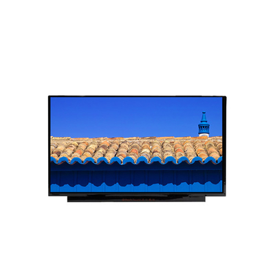 BOE NE170QDM-NZ1 17,0 inci 2560*1600 a-Si TFT-LCD LCM