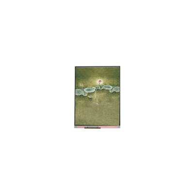6.5 inci panel layar LCD 720 * 1600 LCD Modul U065SWR6-0