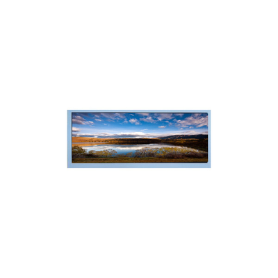 M102AWF2 R2 10,3 inci 1920 * 720 LCD Screen Display Panel