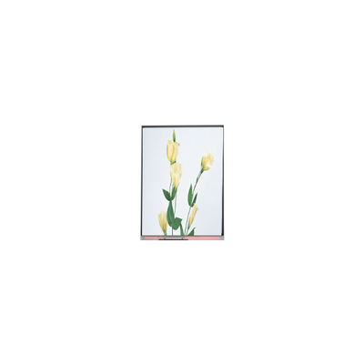 C059SWR1-0 5,9 inci LCD Screen Display Panel untuk Ponsel