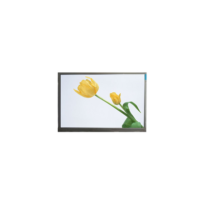 J055SWRA R0 5,5 inci LCD Screen Display Panel