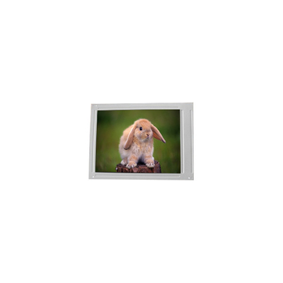 F055A25-604 5,5 inci 720*1440 layar LCD panel