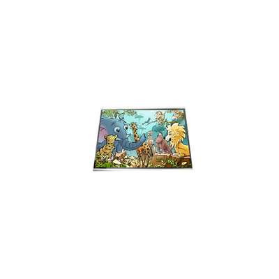 LPM060A513A 6.0 inci LCD Screen Display Panel Untuk Ponsel