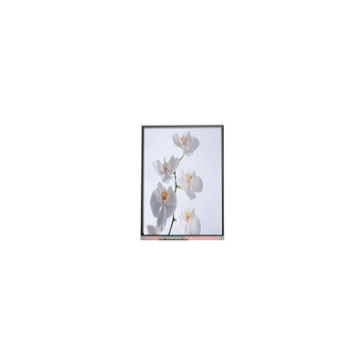 C060SWR6-1 6.0 inci 720*1528 LCD Screen Panel