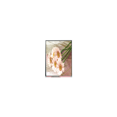 C057SWR1-0 5,7 inci 720*1440 LCD Screen Panel