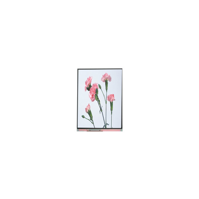 C060SWA3-3 6.0 inci 720*1280 LCD Screen Display Untuk Telepon