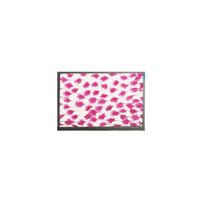 9.0 inci 800*480 LCD Screen Display E090SWP1 R2 panel LCD
