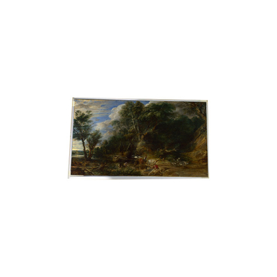 LTM340YP03-Q04 34,0 inci 3440*1440 TFT-LCD Screen Display