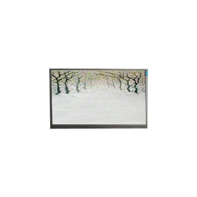 R125NWR3 R3 12.5 inci LCD modul 1366 * 768 layar LCD