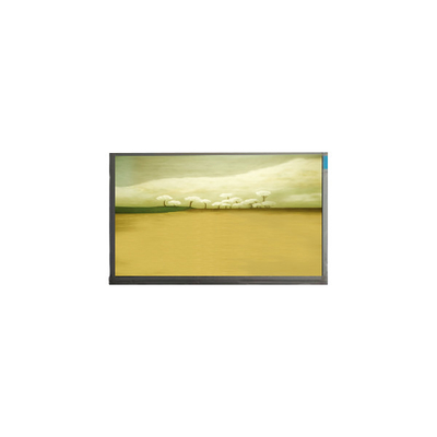 21.5 inci M215HJK-L3B LCD Screen Panel 1920*1080 LCD Display