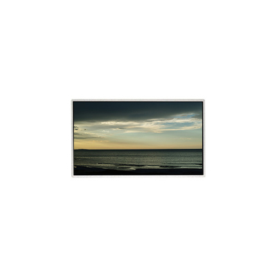 TT101WSB-NW0 LCD Panel 10,1 Inch 1024*600 LCD Display