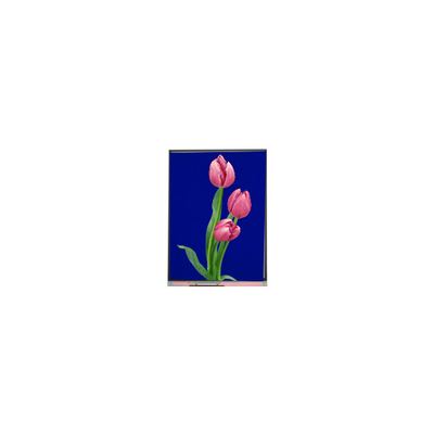 C055SWF4 R0 LCD Module 5,5 inci TFT LCD display