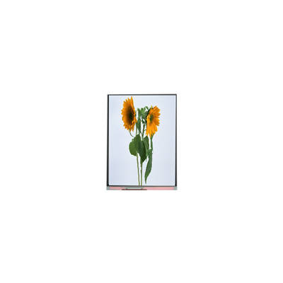 9.0 inci IVO LCD panel C090SWT3-0 1024*600 LCD display modul