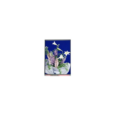 C054SWN1 R0 tft LCD Screen Display 5,4 inci panel LCD